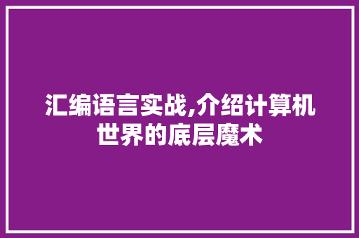 汇编语言实战,介绍计算机世界的底层魔术