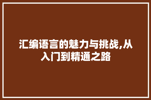 汇编语言的魅力与挑战,从入门到精通之路