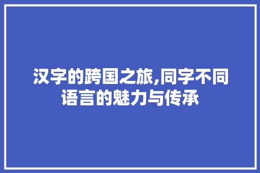 汉字的跨国之旅,同字不同语言的魅力与传承
