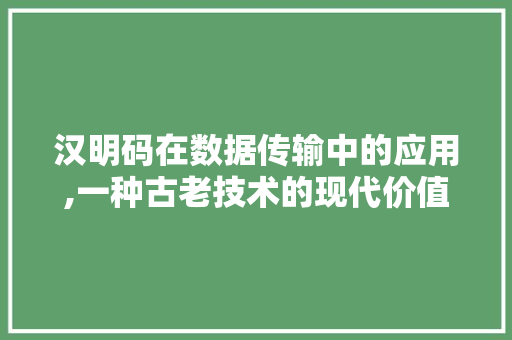 汉明码在数据传输中的应用,一种古老技术的现代价值