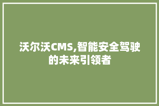 沃尔沃CMS,智能安全驾驶的未来引领者