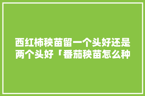 西红柿秧苗留一个头好还是两个头好「番茄秧苗怎么种植长得多一点」 西红柿秧苗留一个头好还是两个头好「番茄秧苗怎么种植长得多一点」 番茄种植技巧