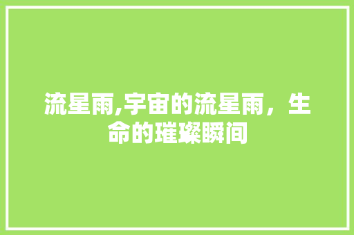 流星雨,宇宙的流星雨，生命的璀璨瞬间