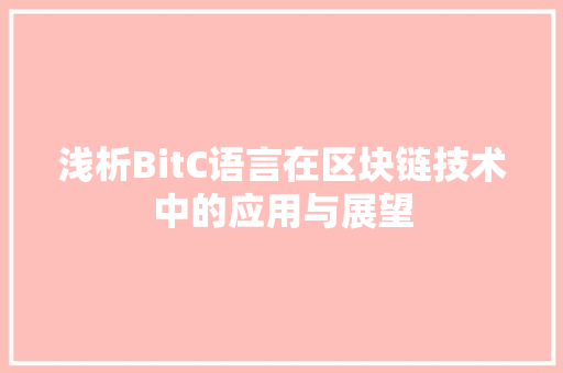 浅析BitC语言在区块链技术中的应用与展望