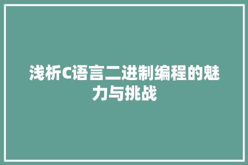 浅析C语言二进制编程的魅力与挑战