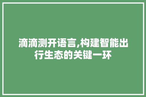 滴滴测开语言,构建智能出行生态的关键一环