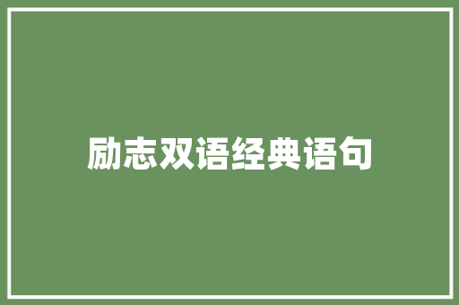 爬天梯C语言,探索编程之美，攀登技术高峰