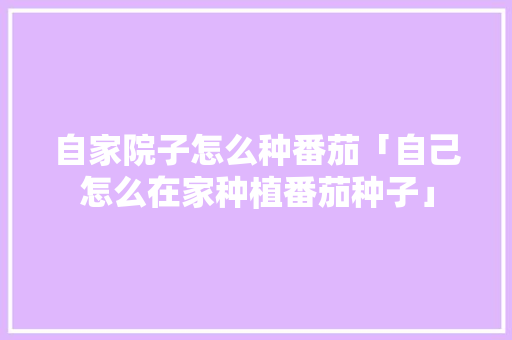 自家院子怎么种番茄「自己怎么在家种植番茄种子」 自家院子怎么种番茄「自己怎么在家种植番茄种子」 植物种类