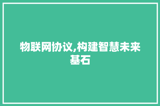物联网协议,构建智慧未来基石