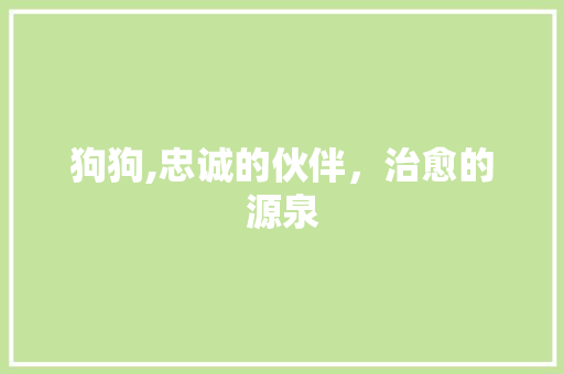 狗狗,忠诚的伙伴，治愈的源泉