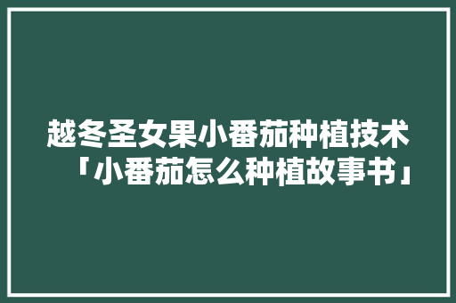 越冬圣女果小番茄种植技术「小番茄怎么种植故事书」 越冬圣女果小番茄种植技术「小番茄怎么种植故事书」 花朵知识