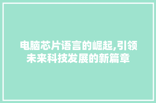 电脑芯片语言的崛起,引领未来科技发展的新篇章