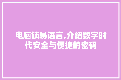 电脑锁易语言,介绍数字时代安全与便捷的密码