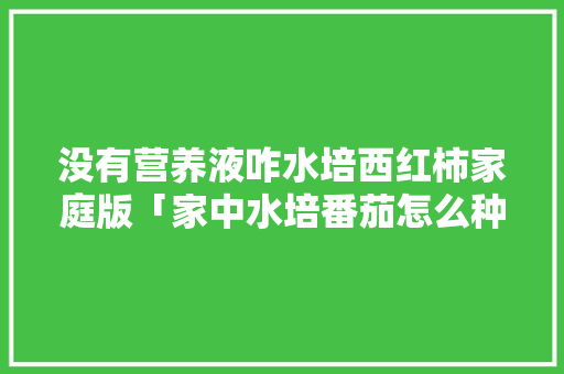 没有营养液咋水培西红柿家庭版「家中水培番茄怎么种植视频」 农业常识 没有营养液咋水培西红柿家庭版「家中水培番茄怎么种植视频」 没有营养液咋水培西红柿家庭版「家中水培番茄怎么种植视频」 农业常识