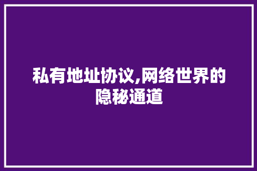 私有地址协议,网络世界的隐秘通道