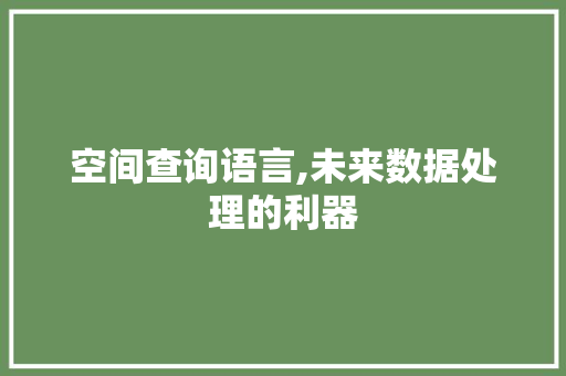 空间查询语言,未来数据处理的利器
