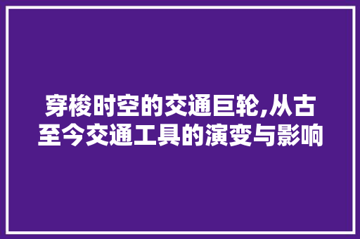 穿梭时空的交通巨轮,从古至今交通工具的演变与影响