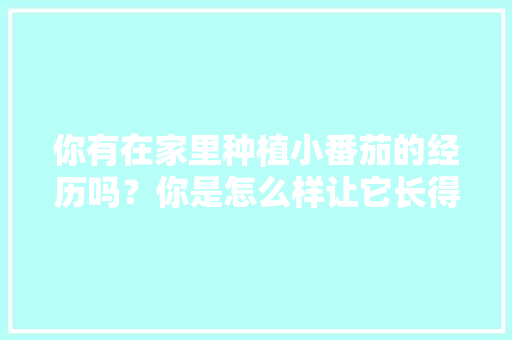 你有在家里种植小番茄的经历吗？你是怎么样让它长得更好的「自家种小番茄怎么种植视频」 你有在家里种植小番茄的经历吗？你是怎么样让它长得更好的「自家种小番茄怎么种植视频」 农业常识