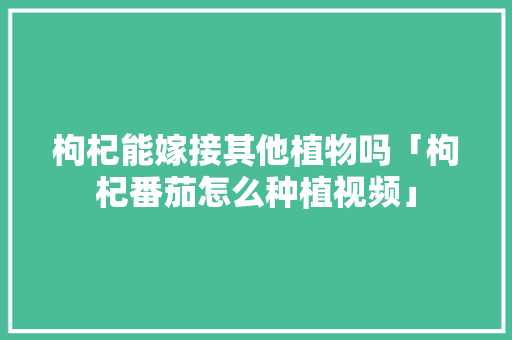 枸杞能嫁接其他植物吗「枸杞番茄怎么种植视频」