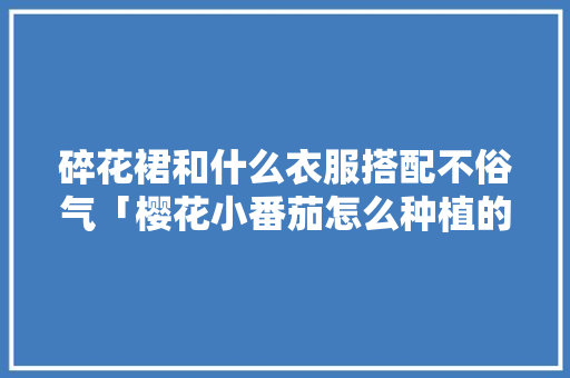 碎花裙和什么衣服搭配不俗气「樱花小番茄怎么种植的视频」