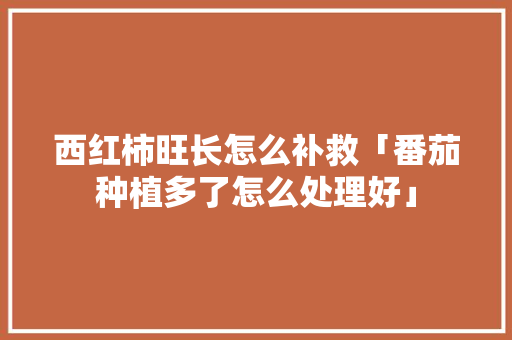 西红柿旺长怎么补救「番茄种植多了怎么处理好」 西红柿旺长怎么补救「番茄种植多了怎么处理好」 花朵知识