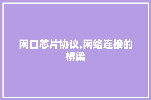 网口芯片协议,网络连接的桥梁