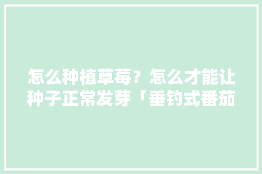 怎么种植草莓？怎么才能让种子正常发芽「垂钓式番茄怎么种植好看视频」 怎么种植草莓？怎么才能让种子正常发芽「垂钓式番茄怎么种植好看视频」 种植技巧
