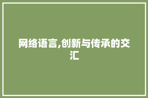 网络语言,创新与传承的交汇
