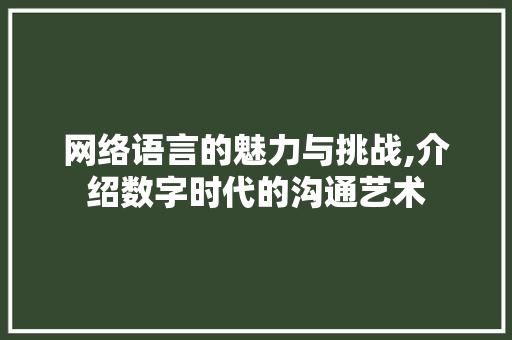 网络语言的魅力与挑战,介绍数字时代的沟通艺术