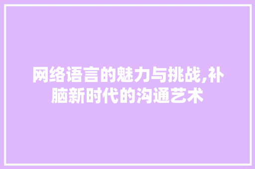 网络语言的魅力与挑战,补脑新时代的沟通艺术