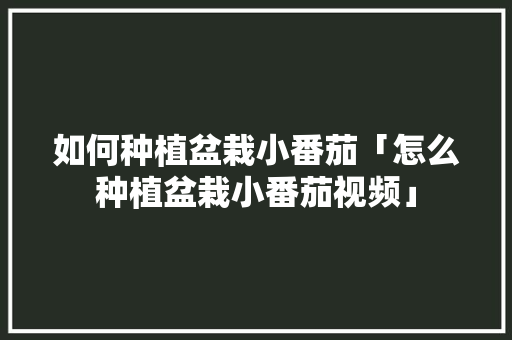 如何种植盆栽小番茄「怎么种植盆栽小番茄视频」 如何种植盆栽小番茄「怎么种植盆栽小番茄视频」 农业常识