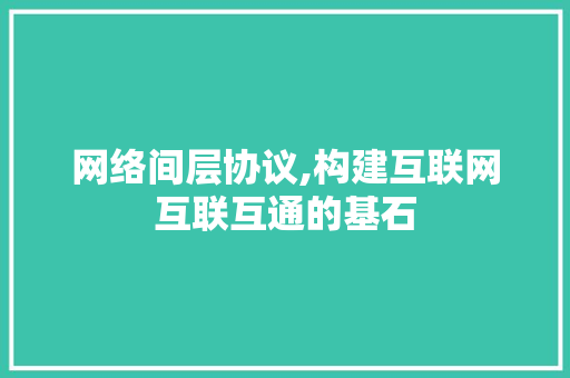 网络间层协议,构建互联网互联互通的基石