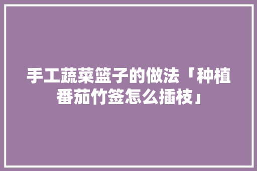 手工蔬菜篮子的做法「种植番茄竹签怎么插枝」 手工蔬菜篮子的做法「种植番茄竹签怎么插枝」 农业常识