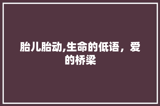 胎儿胎动,生命的低语，爱的桥梁
