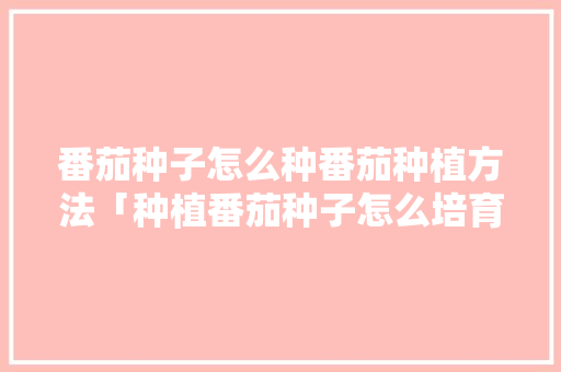 番茄种子怎么种番茄种植方法「种植番茄种子怎么培育出来的」 番茄种子怎么种番茄种植方法「种植番茄种子怎么培育出来的」 花朵知识