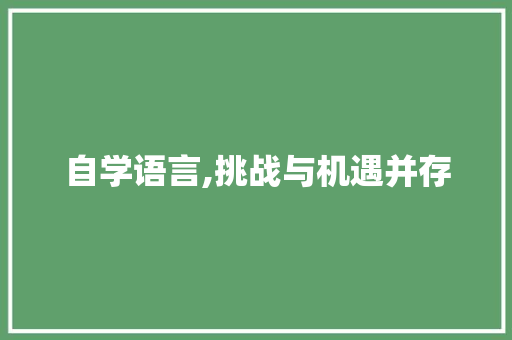 自学语言,挑战与机遇并存