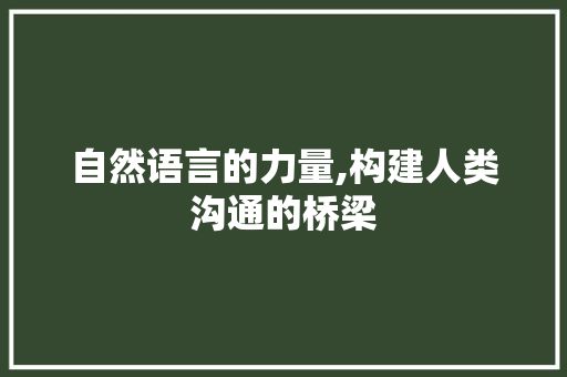 自然语言的力量,构建人类沟通的桥梁