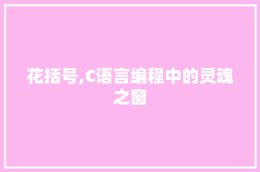 花括号,C语言编程中的灵魂之窗