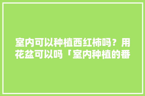 室内可以种植西红柿吗？用花盆可以吗「室内种植的番茄怎么种植的」 室内可以种植西红柿吗？用花盆可以吗「室内种植的番茄怎么种植的」 土壤施肥