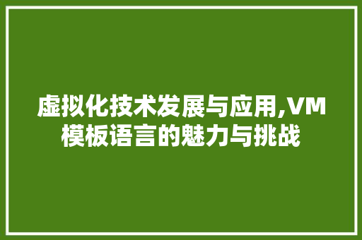 虚拟化技术发展与应用,VM模板语言的魅力与挑战