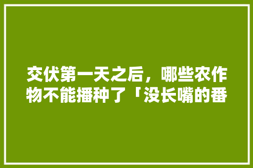 交伏第一天之后，哪些农作物不能播种了「没长嘴的番茄怎么种植视频」 交伏第一天之后，哪些农作物不能播种了「没长嘴的番茄怎么种植视频」 土壤施肥
