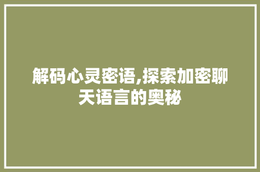 解码心灵密语,探索加密聊天语言的奥秘