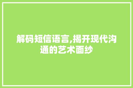 解码短信语言,揭开现代沟通的艺术面纱