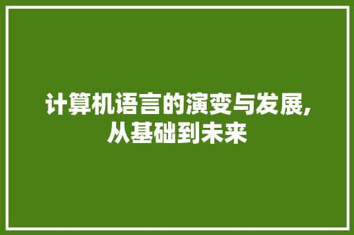 计算机语言的演变与发展,从基础到未来