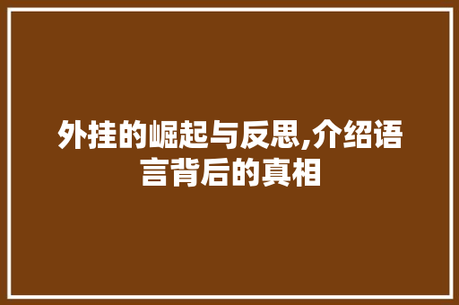 外挂的崛起与反思,介绍语言背后的真相
