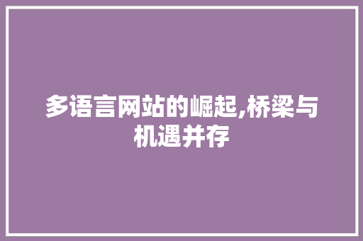 多语言网站的崛起,桥梁与机遇并存