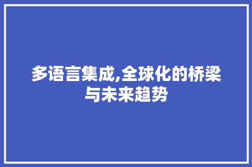 多语言集成,全球化的桥梁与未来趋势