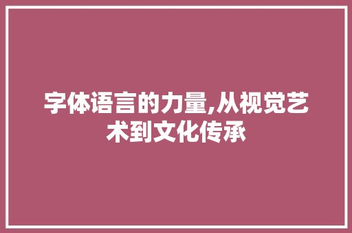 字体语言的力量,从视觉艺术到文化传承