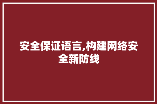 安全保证语言,构建网络安全新防线