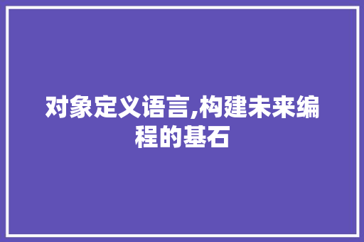 对象定义语言,构建未来编程的基石